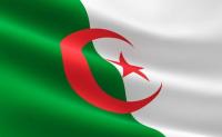 أثاث-الخارج-drapeau-national-t2-بئر-خادم-الجزائر