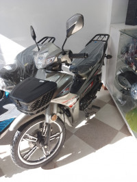 motos-et-scooters-okinoi-giant-110-2025-draria-alger-algerie