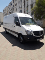 transport-et-demenagement-marchandises-demenagements-نقل-عمومي-للبضائع-والترحيل-hammamet-alger-algerie