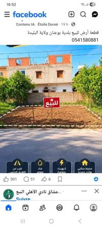 أرض-بيع-البليدة-بوينان-الجزائر