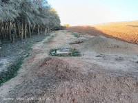 terrain-vente-laghouat-aflou-algerie