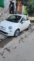 voitures-fiat-500-2024-club-annaba-algerie