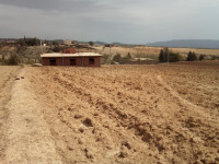 terrain-agricole-vente-bouira-sour-el-ghouzlane-algerie