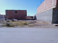 terrain-vente-biskra-el-outaya-algerie