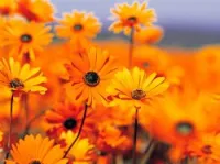 Les inscriptions 1er année secondaire 