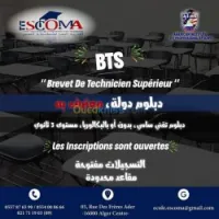 BTS ( Brevet de technicien Supérieur)