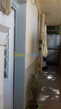 تلمسان-الجزائر-شقة-byaa-shk-4-ghrf-tlmsan