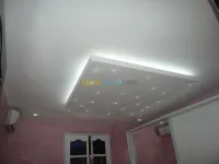Faux plafond placo-PVC-demontable. . . 