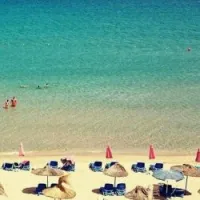 Location Appartement F3 Oran Ain el turck