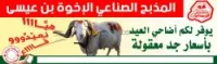 Agneaux, moutons et taurillons  