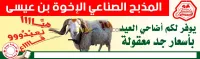 Agneaux, moutons et taurillons  