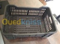 البليدة-بوفاريك-الجزائر-صناعة-و-تصنيع-صناديق-بلاستيكية
