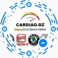 reparation-auto-diagnostic-et-options-caches-vag-constantine-algerie