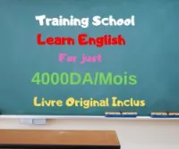 Cours de Langue par niveau