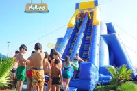 attraction chateaux gonflable 