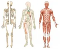 Cours de soutien de sciences 