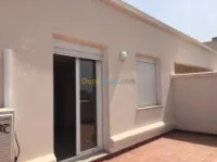 Location Appartement Alger Dely brahim
