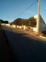 mostaganem-sayada-algerie-autre-vente-bien-immobilier