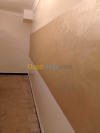 الجزائر-وسط-بناء-و-أشغال-peinture