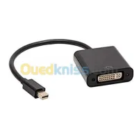 Câble DP Display Port Touts Type
