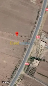 Vente Terrain Tlemcen Maghnia