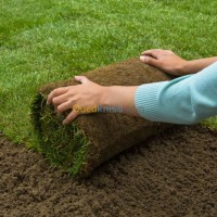 algiers-birtouta-algeria-cleaning-gardening-jardinage-gazon