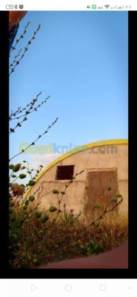 أم-البواقي-بريش-الجزائر-أرض-byaa-ard-am-alboaky-brysh