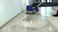 penseur professionnel