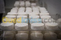 unité de fabrication camembert
