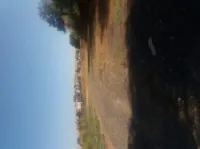 Location Terrain Alger Draria