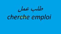 الشلف-الجزائر-تجارة-و-مبيعات-بائع