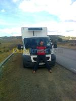 alger-belouizdad-algerie-transport-et-déménagement-livraison-marchandise-sous-froid