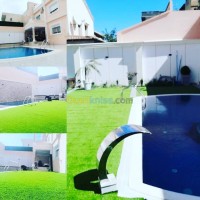 ديكورات-و-ترتيب-gazon-decoratif-et-sportif-بئر-خادم-الجزائر