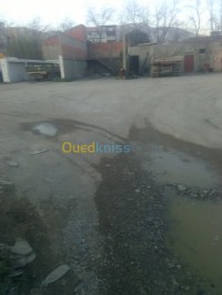 بجاية-الجزائر-أرض-byaa-ard-bjay