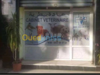 blida-bougara-algerie-médecine-santé-medecine-vétérinaire