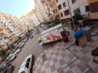 Demenageurs professionnels  100%