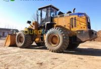 setif-algerie-engin-caterpillar-sem-4-m-2014