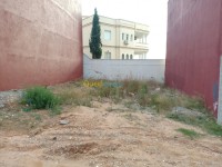 تلمسان-هنين-الجزائر-أرض-byaa-ard-tlmsan-hnyn