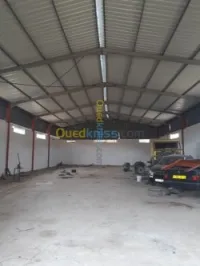 Cherche location Hangar Alger Dar el beida