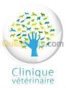 الجزائر-وسط-خدمات-v-t-rinaire