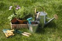 الجزائر-بومرداس-الرغاية-الرويبة-حمادي-تنظيف-و-بستنة-nettoyage-ou-jardinage