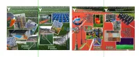 تجهيز القاعات والملاعب بالعشب الاصطناع