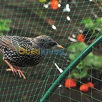 Filet anti oiseaux