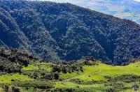 une excursion à Chréa   -Blida  