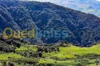 une excursion à Chréa   -Blida  