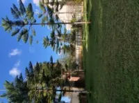 Jardinage maison 