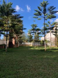 الجزائر-شراقة-تنظيف-و-بستنة-jardinage-maison