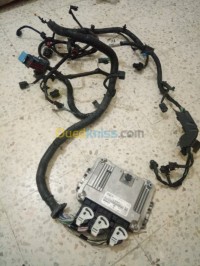 برج-بوعريريج-الغدير-الجزائر-قطع-المحرك-calculateur-ford-focus1-6-tdci-faiceau