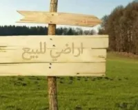 Vente Terrain Saida Saida