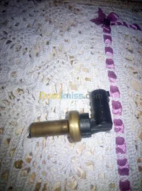 Manaut thermostat